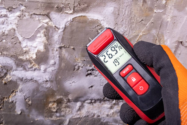 Best Water Damage Restoration  in Egypt, AL